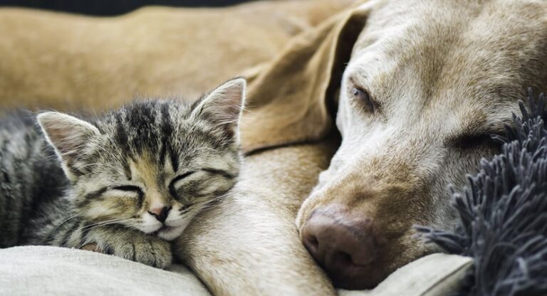 La importancia de comprar un aire acondicionado silencioso