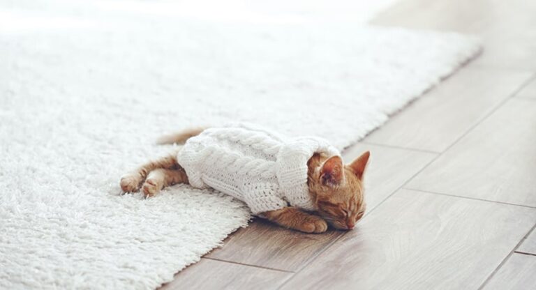 Por qué no debes comprar ni utilizar un aire acondicionado portátil